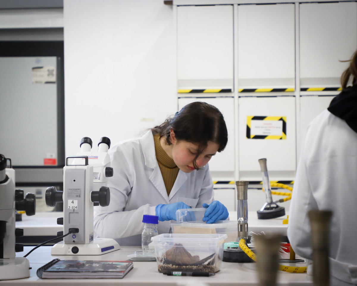 CienciasUAndes's tweet photo. 🤩 ¡… Y arrancamos semestre!

✍️ Esperamos que esta primera semana haya sido de encuentros y aprendizajes gratos.

🎉 ¡Les deseamos muchos éxitos este 2025-2! https://t.co/6vXuZkKvbr