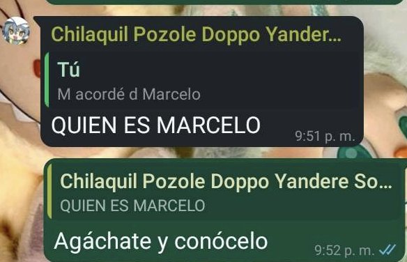 (◜⤙◝) Emu!! tweet media