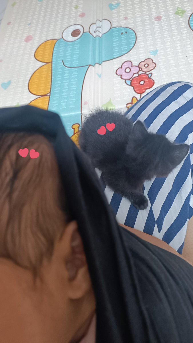 Rasi ⭐ KDY2 🪽 tweet media