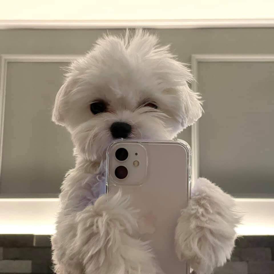 tofour_0304's tweet photo. 누가 범규양 ~ ㅋㅋㅋㅋ ♥︎ https://t.co/FaADOD4Zbd