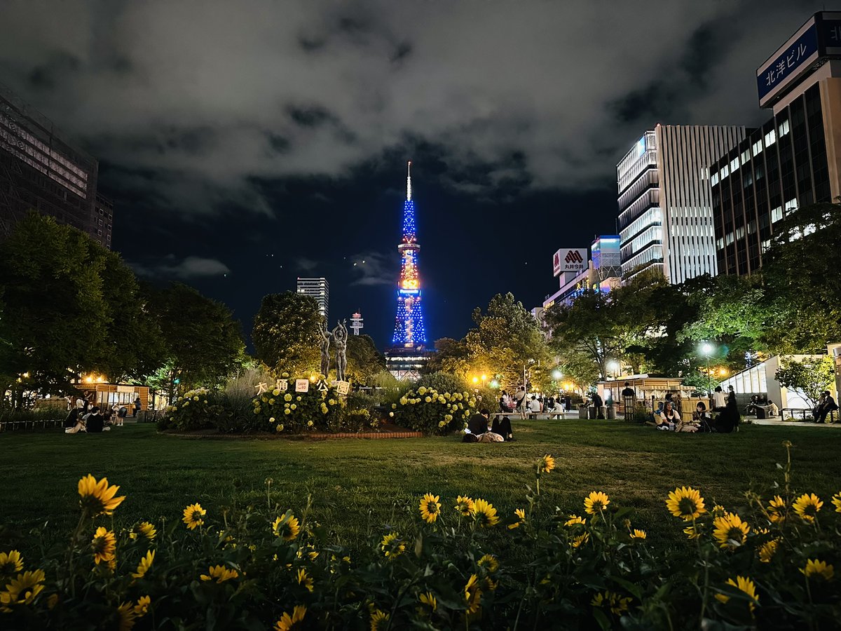 Wolf Lab (@hicryoem) on Twitter photo Sapporo Susukino, Tanuki street and TV tower at night, during a visit to <a href="/HokkaidoUni/">Hokkaido University</a>  who have a Krios at BSL-3 😇 Sapporo Susukino, Tanuki street and TV tower at night, during a visit to <a href="/HokkaidoUni/">Hokkaido University</a>  who have a Krios at BSL-3 😇