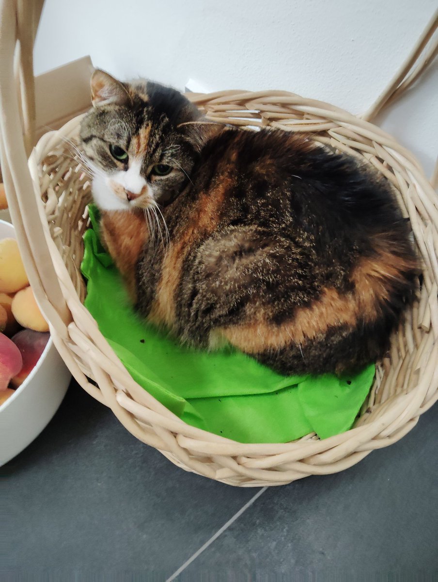 She's been paying rent to stay there