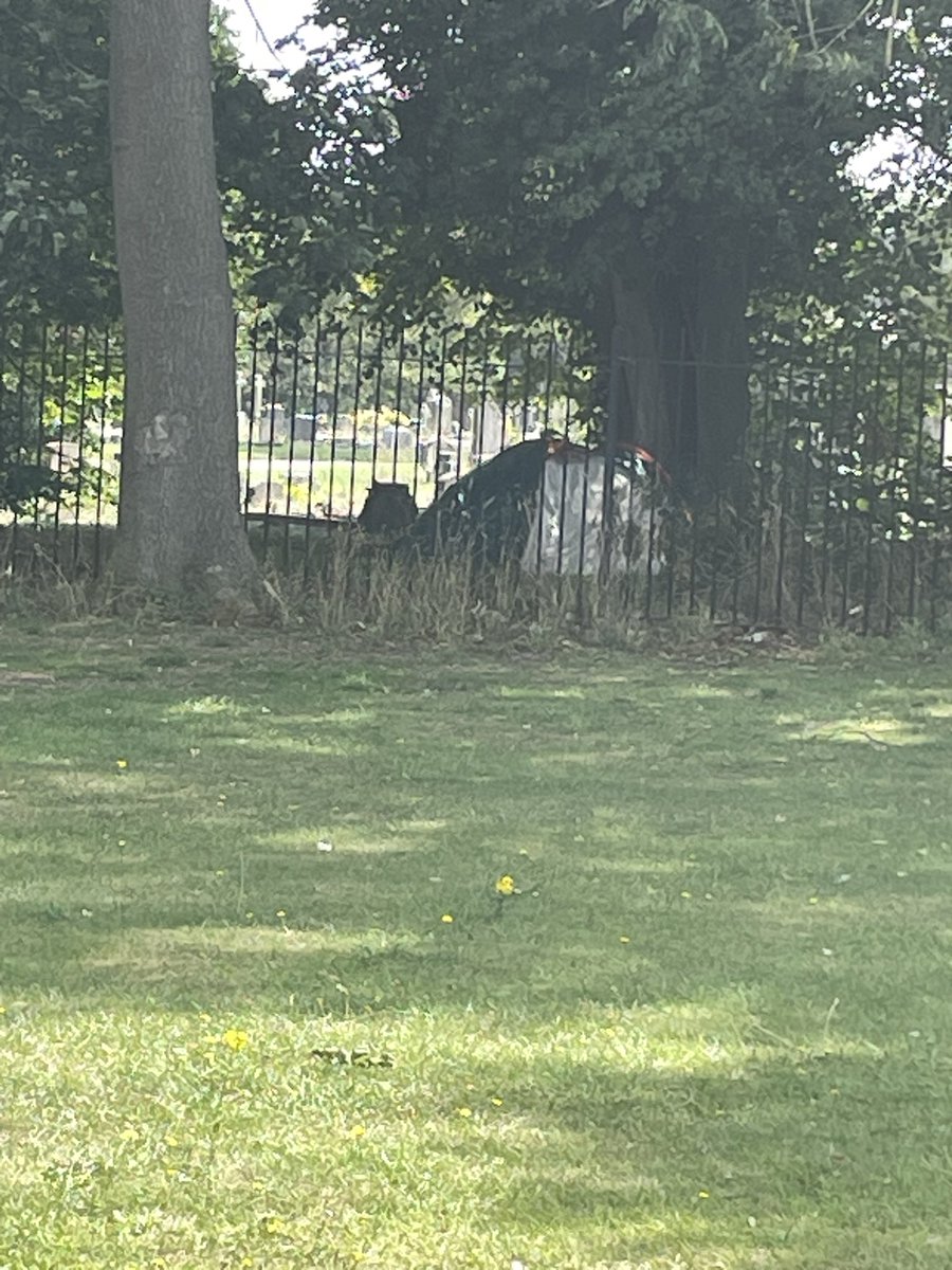 HarehIlls cemetery has living occupants staying there.
Not creepy at all 👻👻