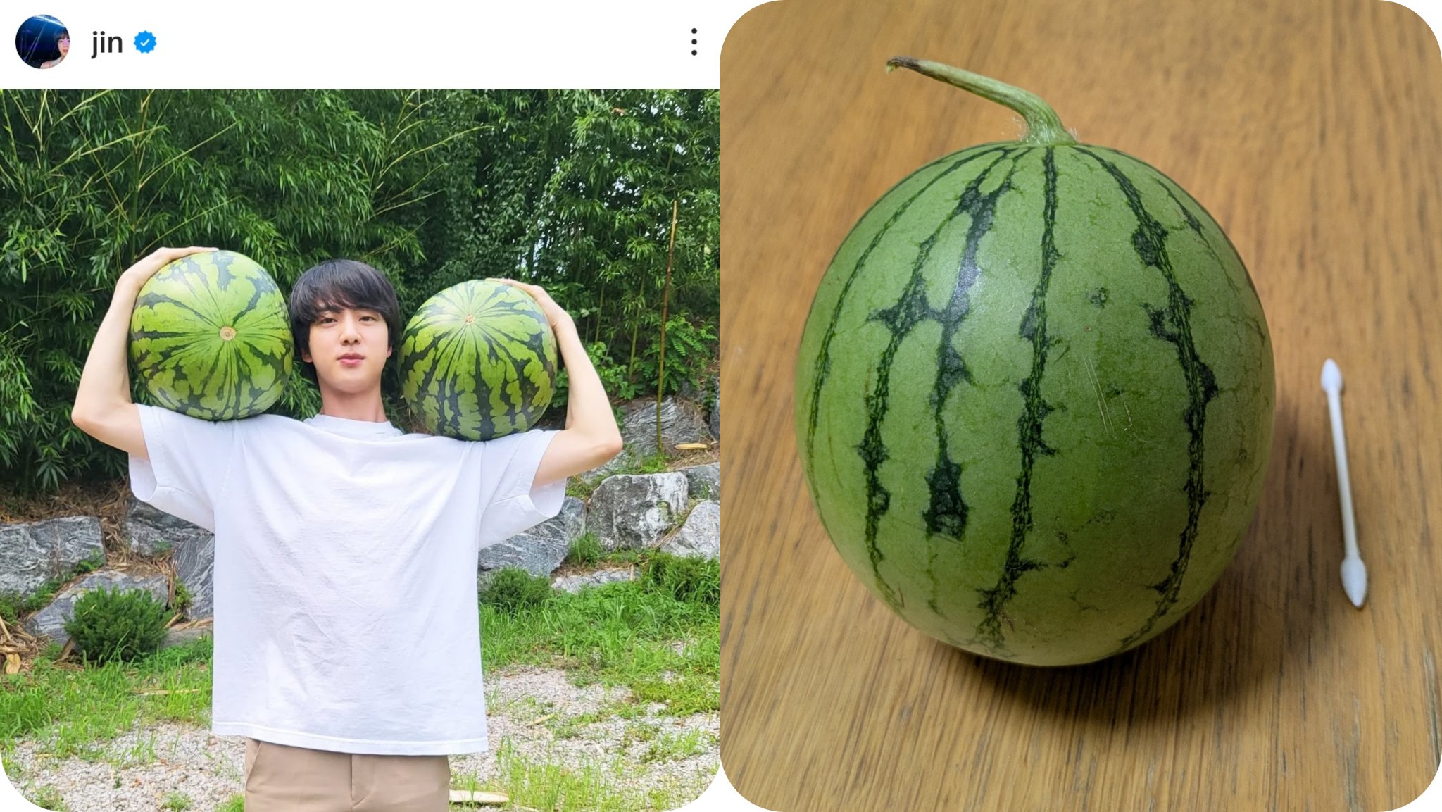 お野菜です！ みずみずしい 10種野菜のオニオンサラダ 310g | ヤオコーの商品