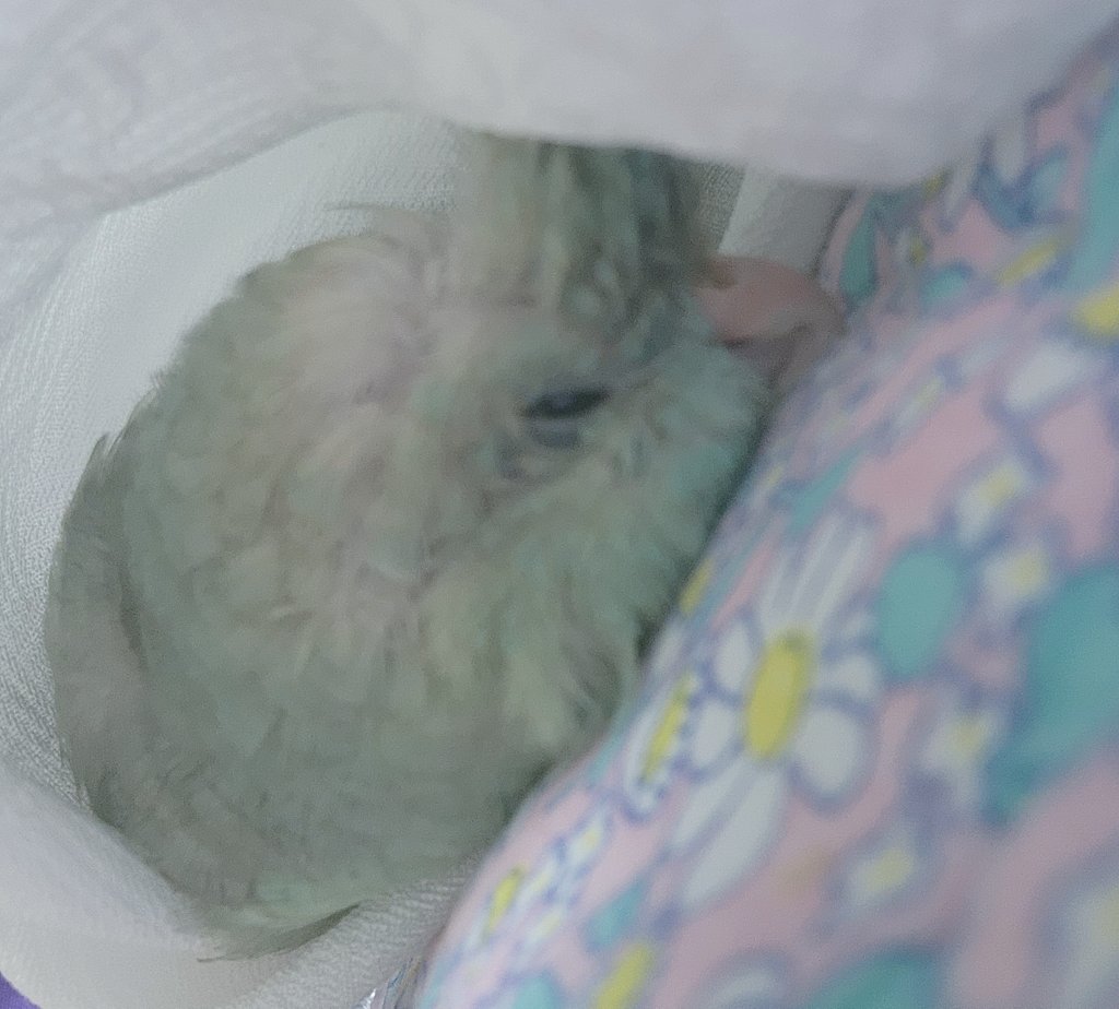 에어컨과 인견이불안에서 노곤노곤