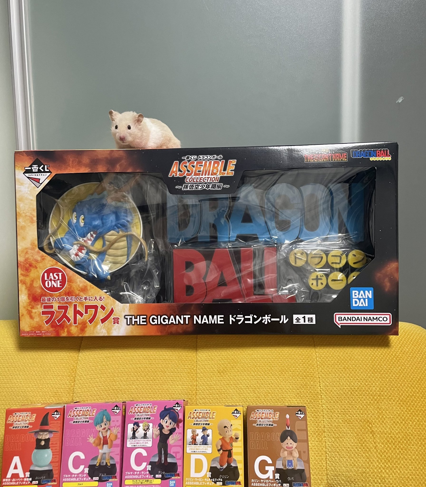 すずはる🐹9/5-7個展開催 on X: 