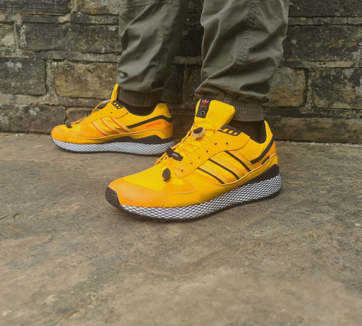 adiFamily tweet media