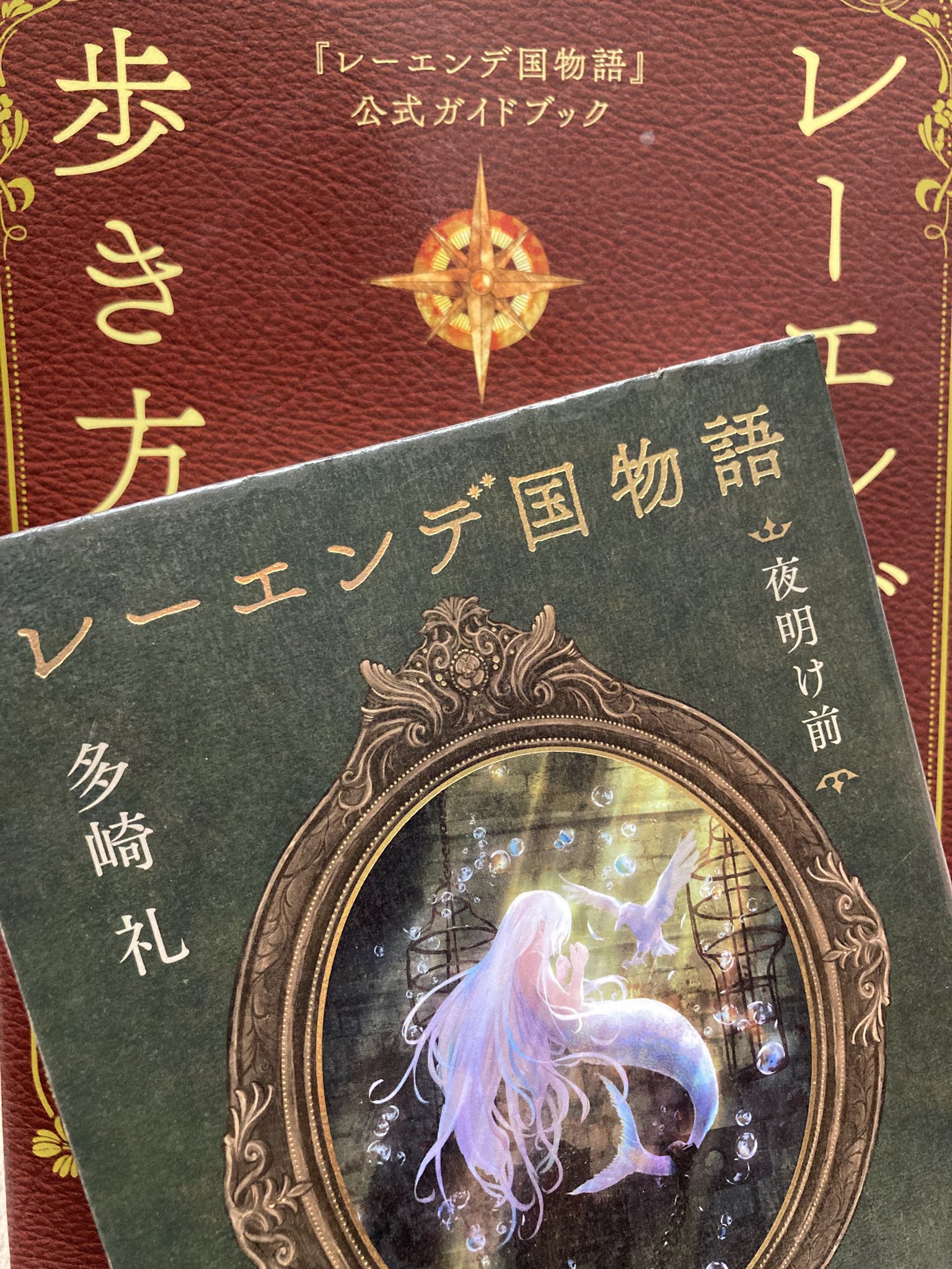 ゆるっと☺︎書籍おまとめ購入値引き増額中 Seiwado.Book.Store. | 先日めちゃくちゃバズった 一次元の
