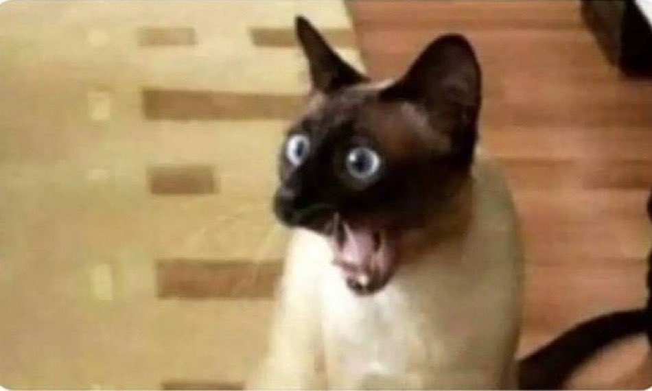 When Moses Bliss introduces a verse you've never heard before! 😹😹😹
#PhanerooAt11