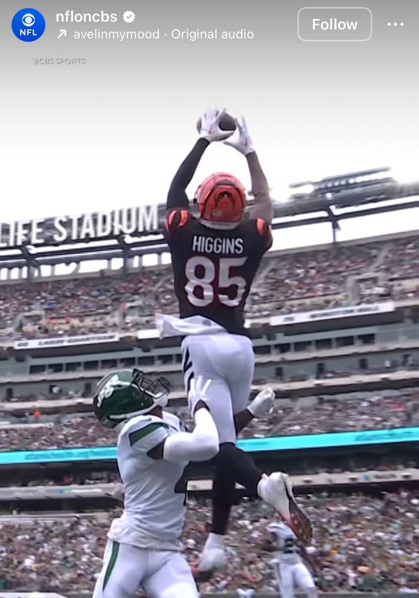 CincyZack's tweet photo. NFL likes to use this clip a lot after they told us to our face it wasn’t a catch 😭 https://t.co/r0piCK4nDG