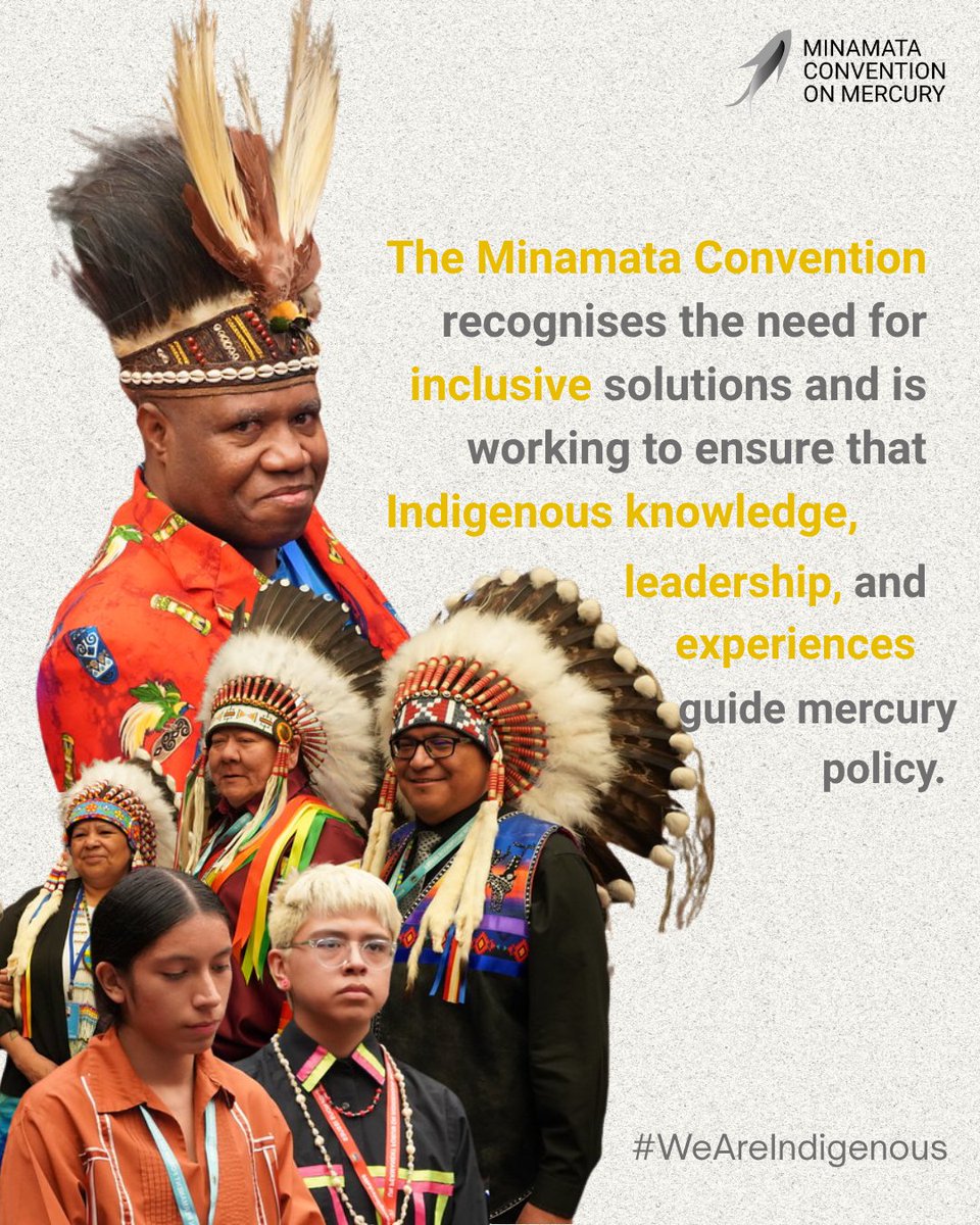This #IndigenousPeoplesDay, the #MinamataConvention highlights the importance of Indigenous voices in #DefendingRights of Indigenous Peoples in mercury policy.

Learn more about #IndigenousPeoples and #mercury pollution

📎bit.ly/MinamataIP