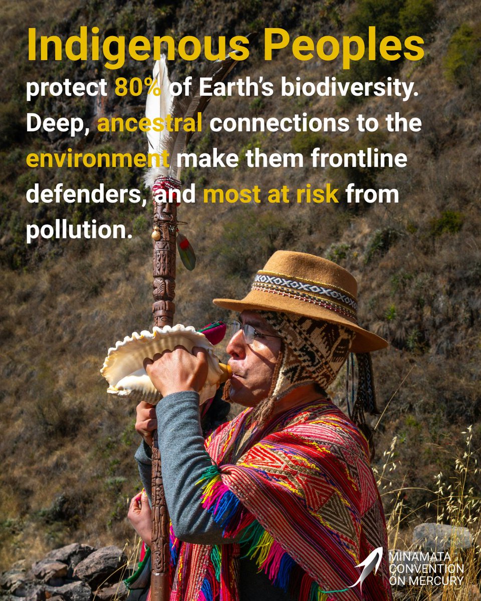 minamataMEA's tweet photo. This #IndigenousPeoplesDay, the #MinamataConvention highlights the importance of Indigenous voices in #DefendingRights of Indigenous Peoples in mercury policy.

Learn more about #IndigenousPeoples and #mercury pollution

📎https://t.co/6pg322cWl8 https://t.co/rQfouPpui1