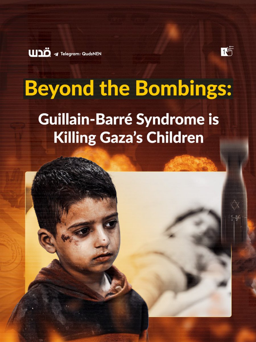 Recently, doctors in Gaza revealed a surge in the number of people diagnosed with Guillain-Barré syndrome, which causes the peripheral nerves to become flaccid, starting from the lower extremities and progressing upwards to life-threatening areas. Before the war, only one to two
