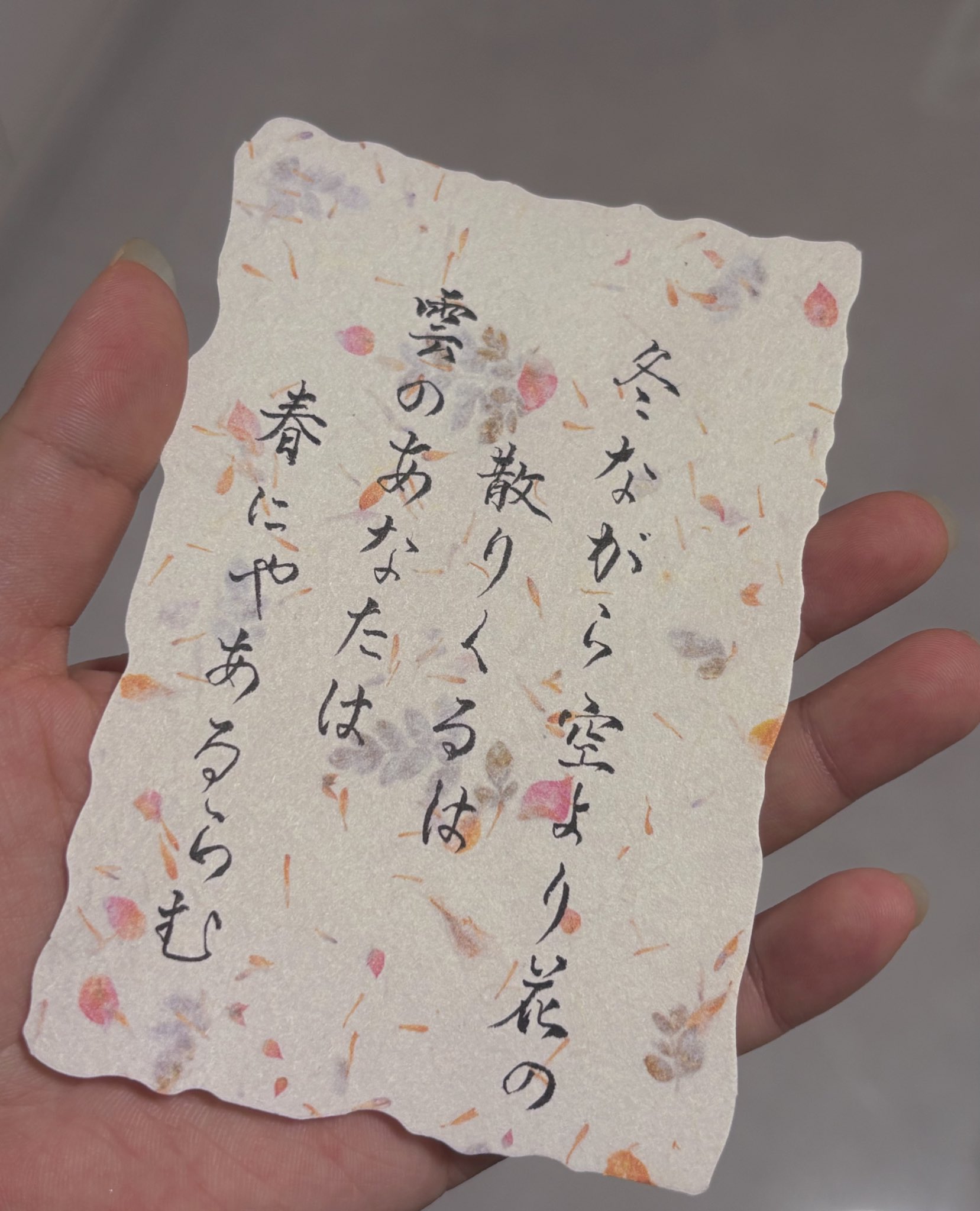 Ｍeguページ 野生のmegu (@wildmegu) / X