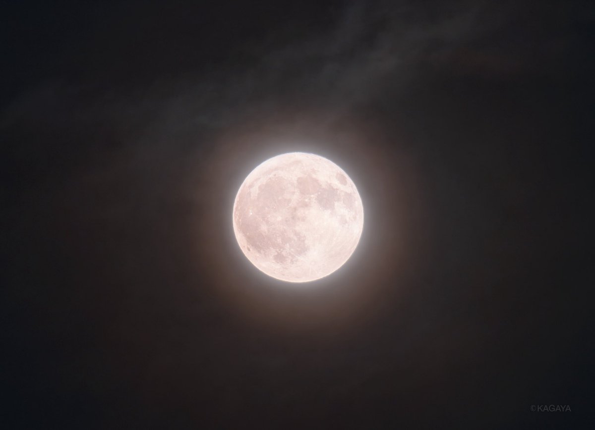 空をご覧ください。
南東に夏の満月が輝いています。
（先ほど、埼玉県にて撮影）