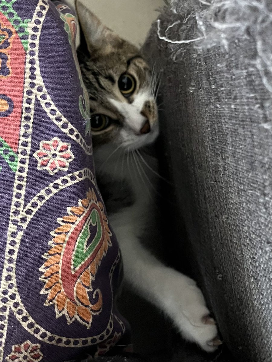 Qué hermosas las uñitas de La CUTI Romero. 😂😍