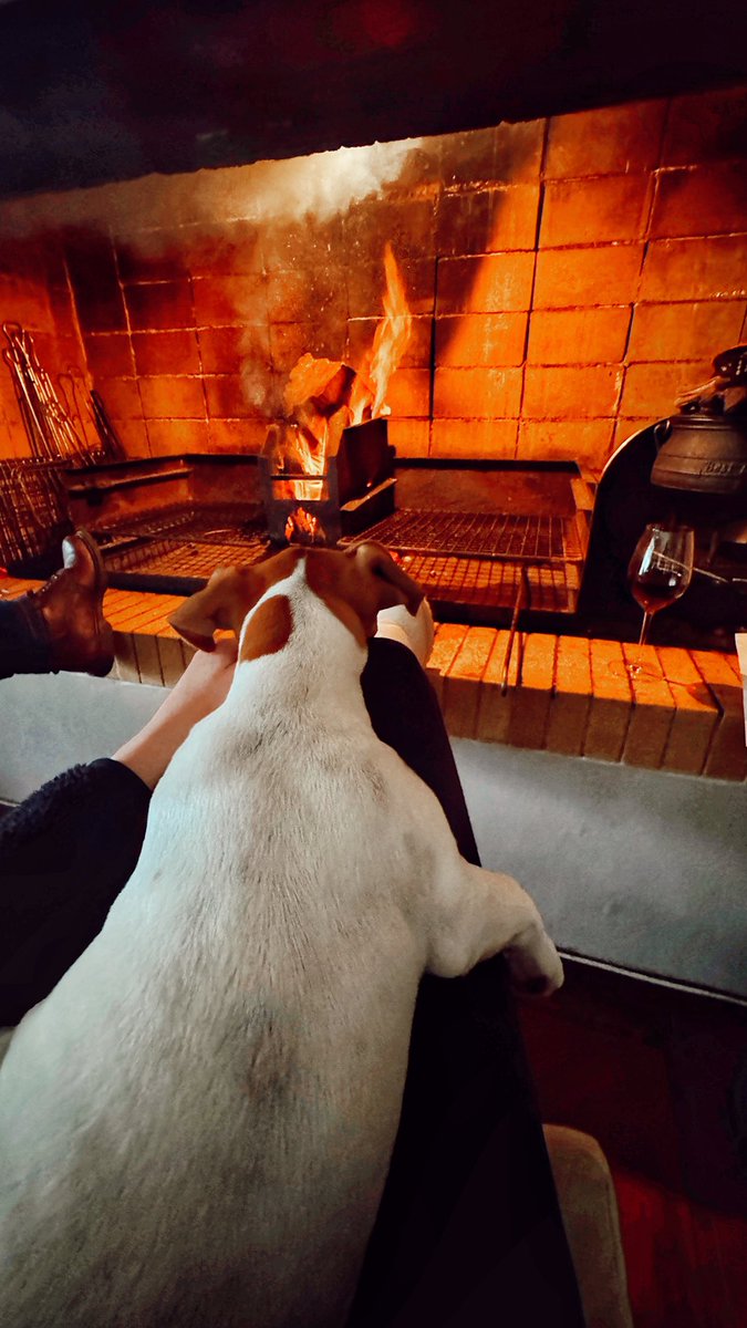 Happy Women’s Day ✨🍷🌹❤️‍🔥