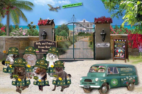 Hi Pals and welcome to today's special #HWCafe at Casa Prolly (thank you to both Prinzi &amp; Holly for allowing us to enjoy their lovely beach home today)

Here are today's menus for both noms and drinkies, please let me know if I can get you anything at all, my name is Chanel!!