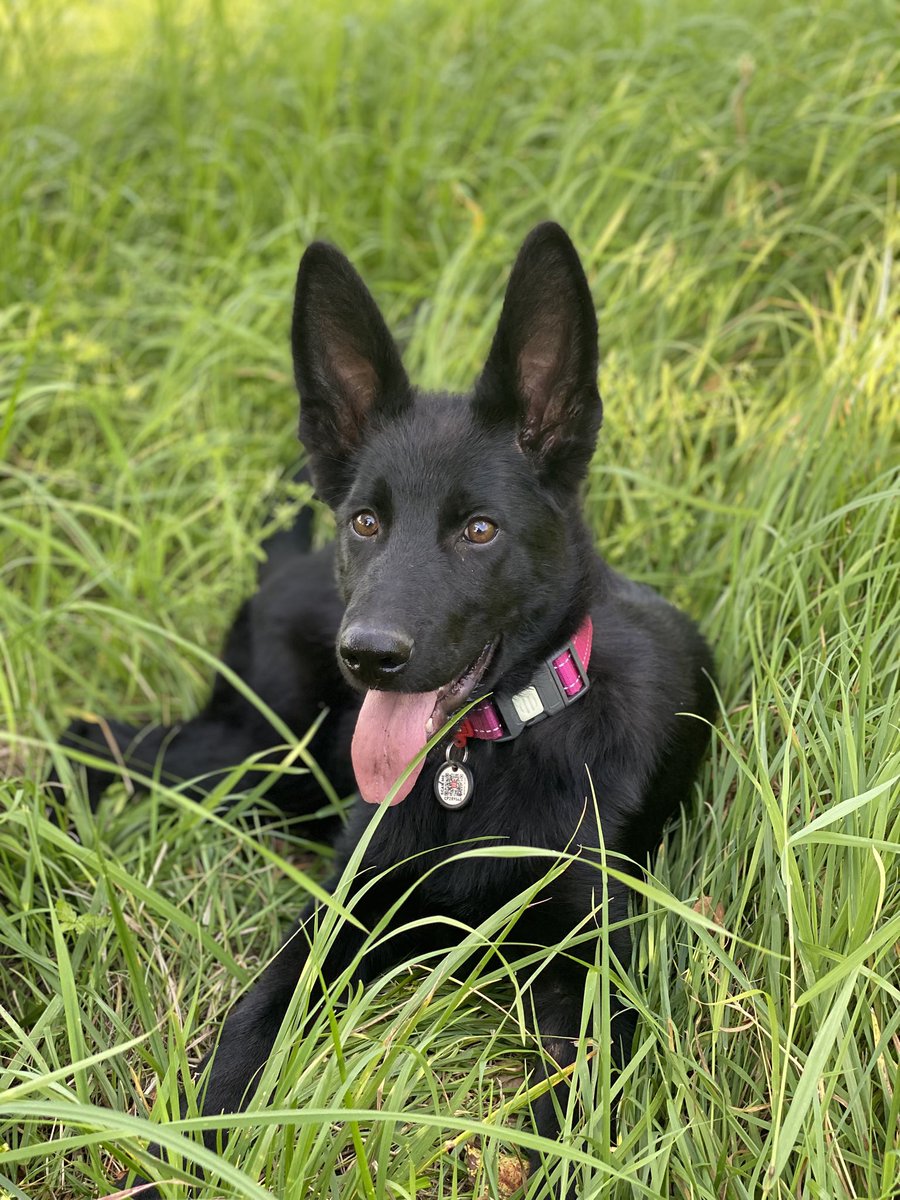 Ну красотка росте😱