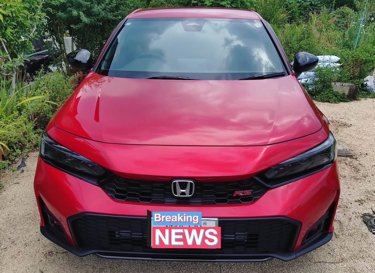 しのぐ_W・D～す@むっつり系ホロリス🐏✨ tweet media