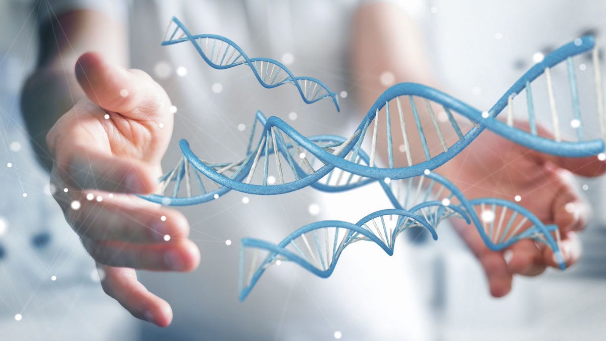 منصة نواة (@nawahplatform) on Twitter photo الوراثة اللاجينية 🧬(Epigenetics) 🤔كيف تغيّر بيئتك طريقة عمل جيناتك وتورّث الأثر عبر الأجيال؟
تابعوا معنا تفاصيل ثريد 👇🏻🤩
#نواة
اعداد المحتوى
<a href="/Nouf_AlyahyaA/">نوف بنت عبدالعزيز</a> الوراثة اللاجينية 🧬(Epigenetics) 🤔كيف تغيّر بيئتك طريقة عمل جيناتك وتورّث الأثر عبر الأجيال؟
تابعوا معنا تفاصيل ثريد 👇🏻🤩
#نواة
اعداد المحتوى
<a href="/Nouf_AlyahyaA/">نوف بنت عبدالعزيز</a>