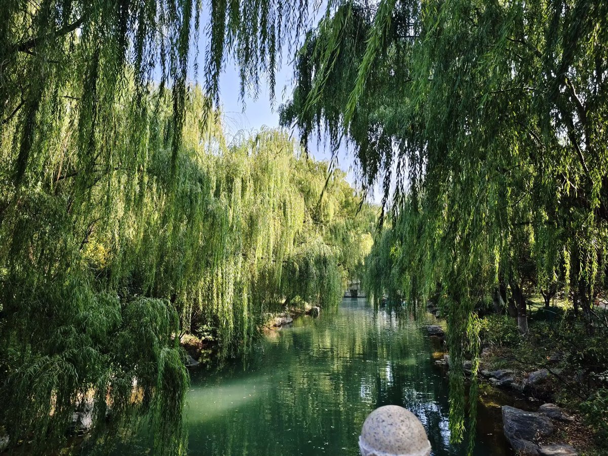 sjp200607's tweet photo. Jinan, Shandong https://t.co/wYHRn1hi09