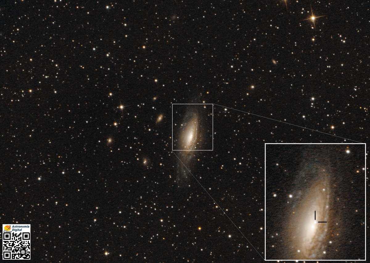 NGC7331 contains supernova (SN2025rbs) near its nucleus.
🔭 Newton D254/F1200mm f/4.7
📷ZWO ASI 1600MM
💾Ekos + SIRIL + GIMP
🇪🇸Nambroca (Toledo)
#cielosESA #Astrophotography <a href="/PlanetarioMad/">Planetario de Madrid</a> <a href="/ObservaUCM/">Observatorio UCM</a> <a href="/ObsCalarAlto/">Observatorio Astronómico de Calar Alto</a> <a href="/IAC_Astrofisica/">IAC Astrofísica</a> <a href="/apod/">Astronomy Picture of the Day</a> <a href="/apod_daily/">Astronomy Picture of the Day</a> <a href="/IGN_RObsMadrid/">Real Observatorio</a> <a href="/Jessica_BC1/">Jessica Baquerizo</a>