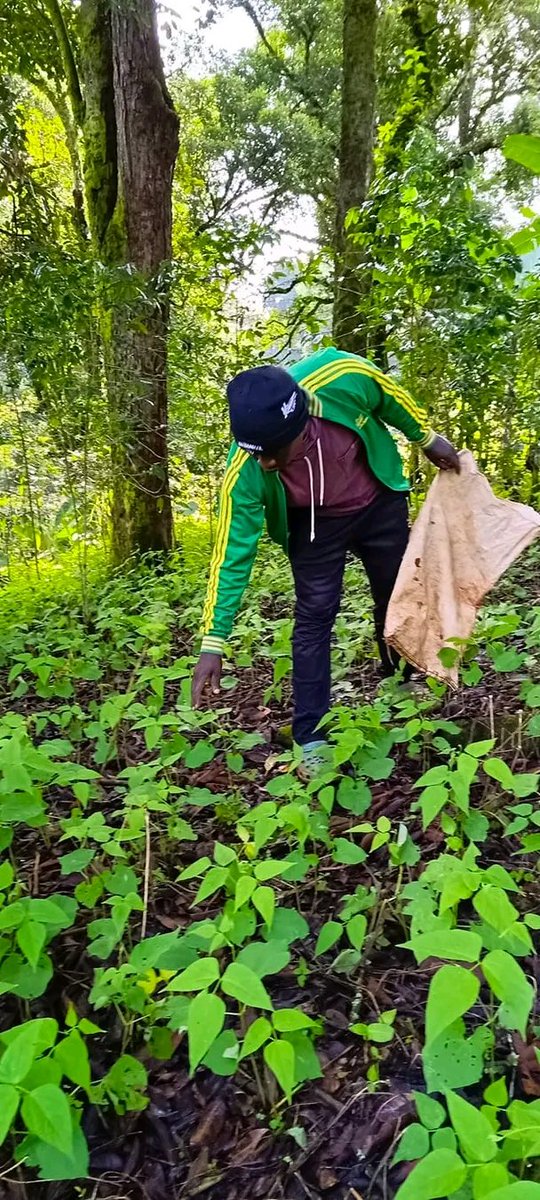 AbiluTangwa's tweet image. "Everyone’s chasing money to escape world problems, not fix them. 😔 But real change comes from collective action,tackling climate change, inequality, &amp;amp; more. Let’s work together for solutions, not just survival. 🌍💪 #ClimateAction #GlobalChange