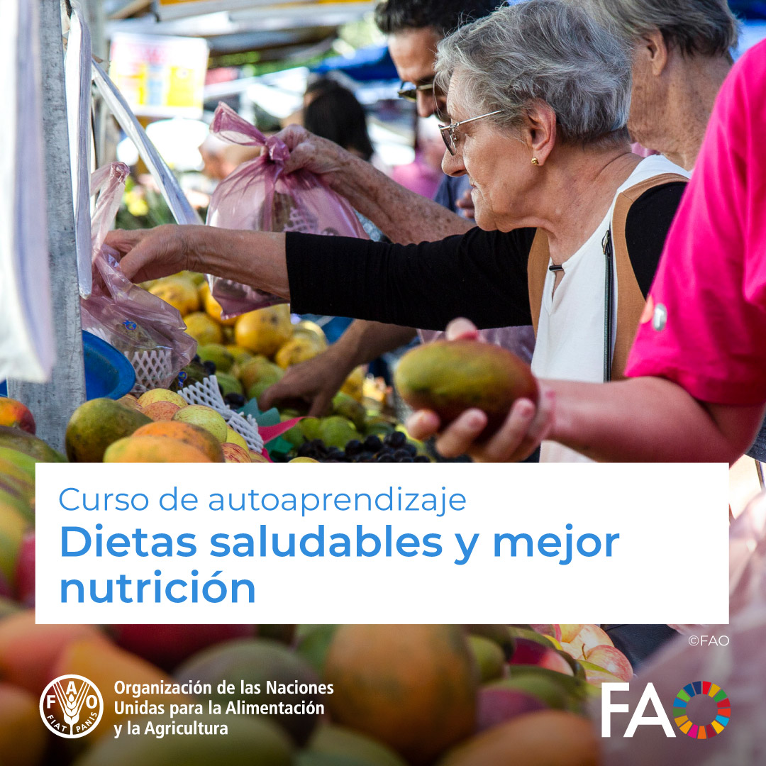 FAO Campus - America Latina y el Caribe (@faocampus) on Twitter photo 🎓 Curso gratuito en <a href="/FAOCampus/">FAO Campus - America Latina y el Caribe</a>
Dietas saludables y mejor nutrición 🍎🥬
Es fundamental conocer el concepto, los determinantes y los efectos de las dietas saludables
¡Matricúlate! ➡️ow.ly/fL8F50VAlwn 🎓 Curso gratuito en <a href="/FAOCampus/">FAO Campus - America Latina y el Caribe</a>
Dietas saludables y mejor nutrición 🍎🥬
Es fundamental conocer el concepto, los determinantes y los efectos de las dietas saludables
¡Matricúlate! ➡️ow.ly/fL8F50VAlwn