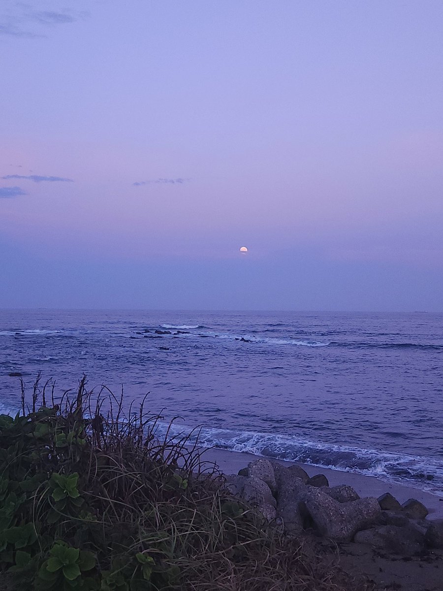 すみすみ (@oldvege08) on Twitter photo 