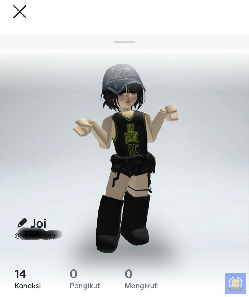 Roblox Fess tweet media