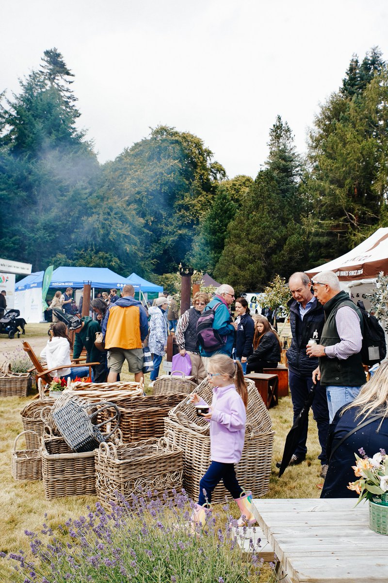 Bonk & Co tweet media