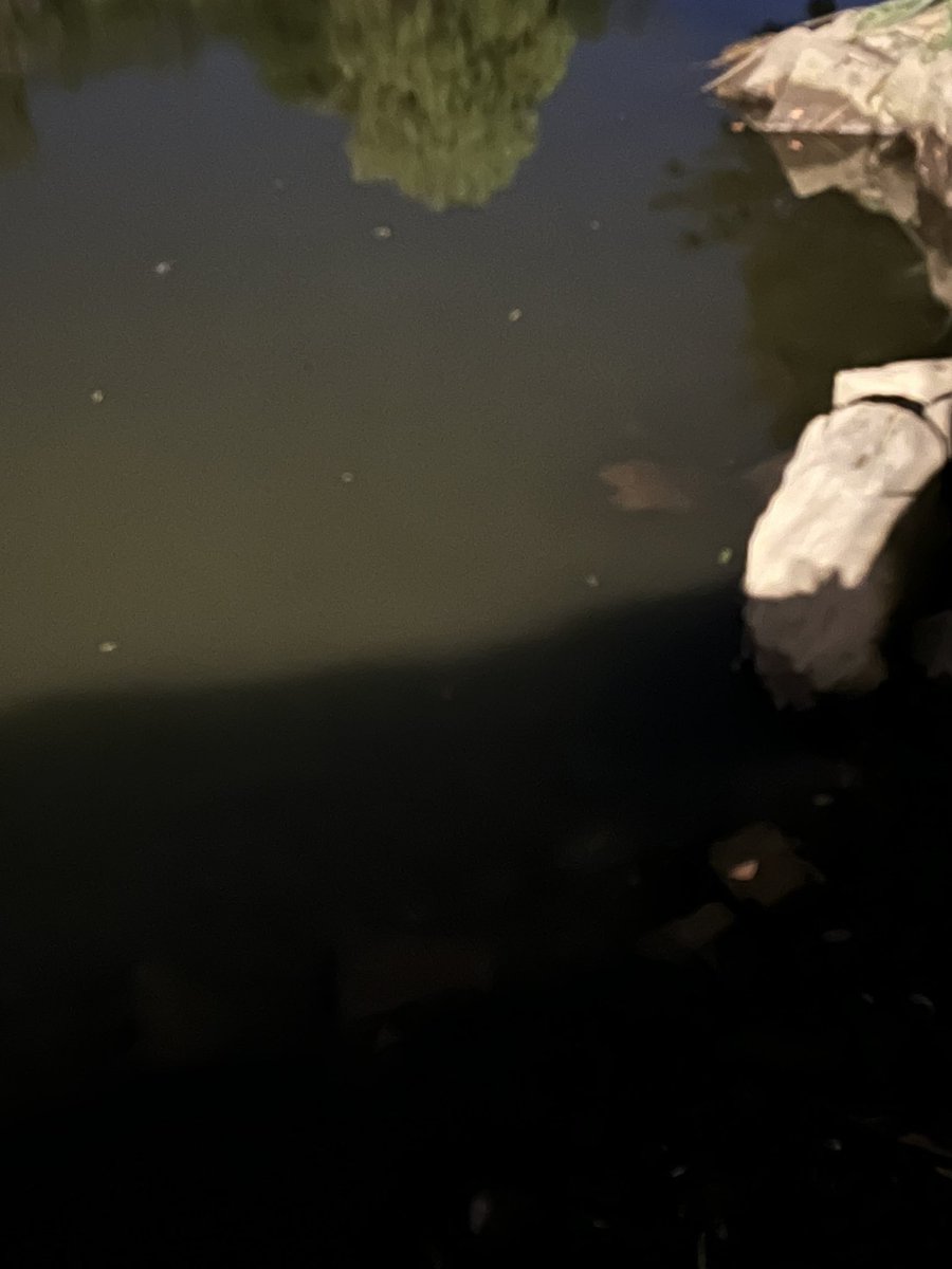 toldyaiwasSiCK (@maybeestella) on Twitter photo 