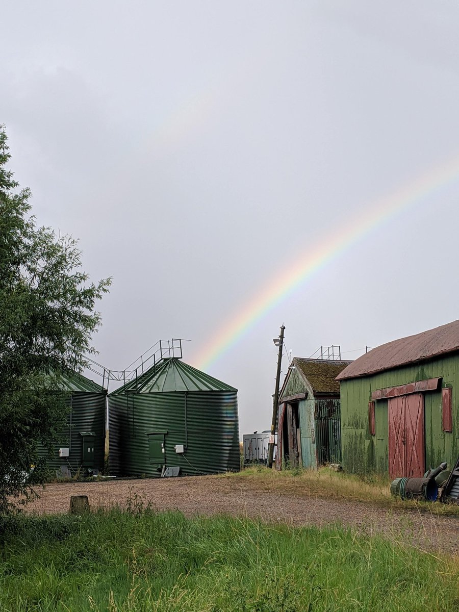 Sadly, no pot of gold from this year's harvest