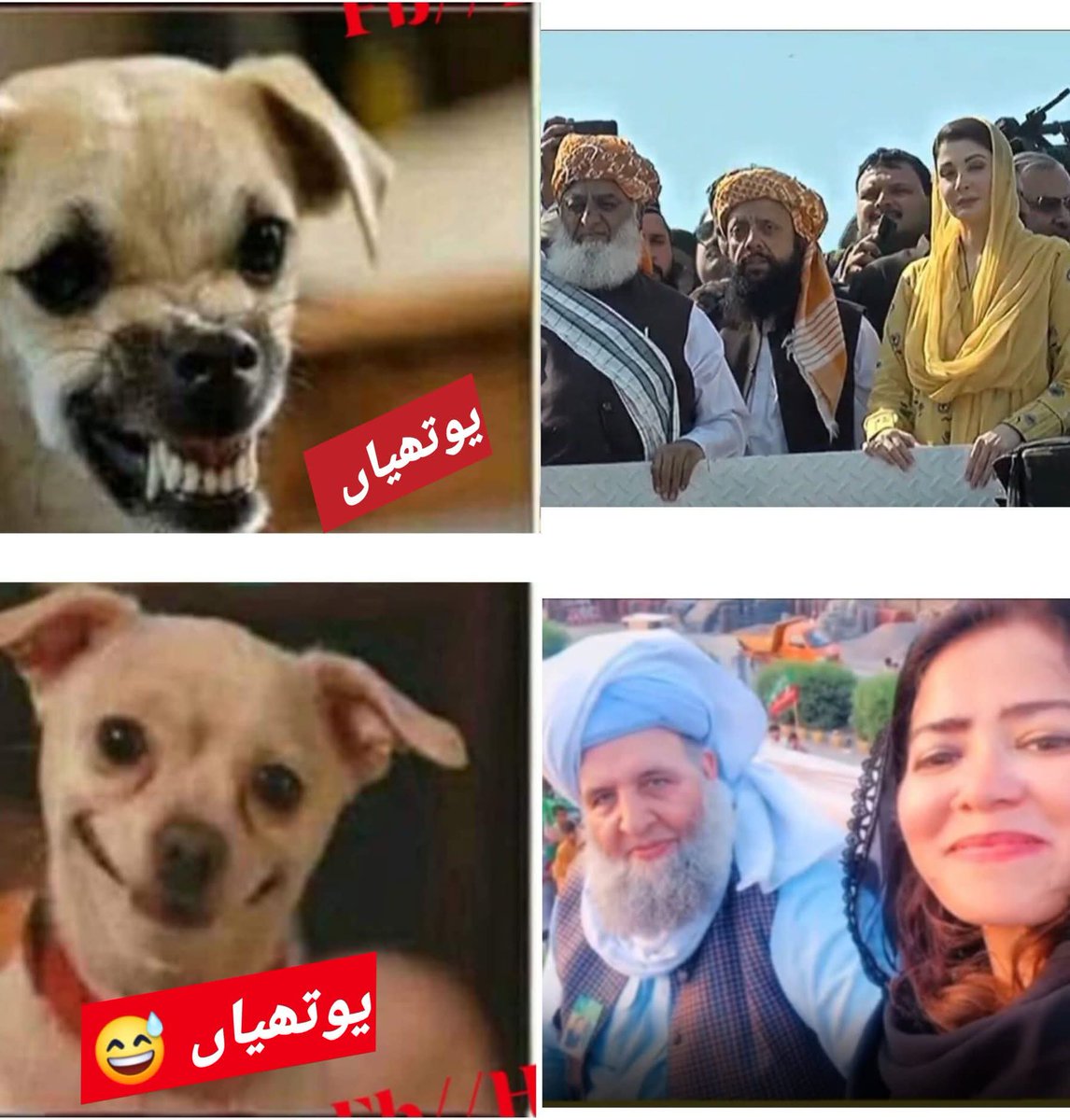 پاکستانی اسٹیبلشمنٹ کی تیار کردہ نسل