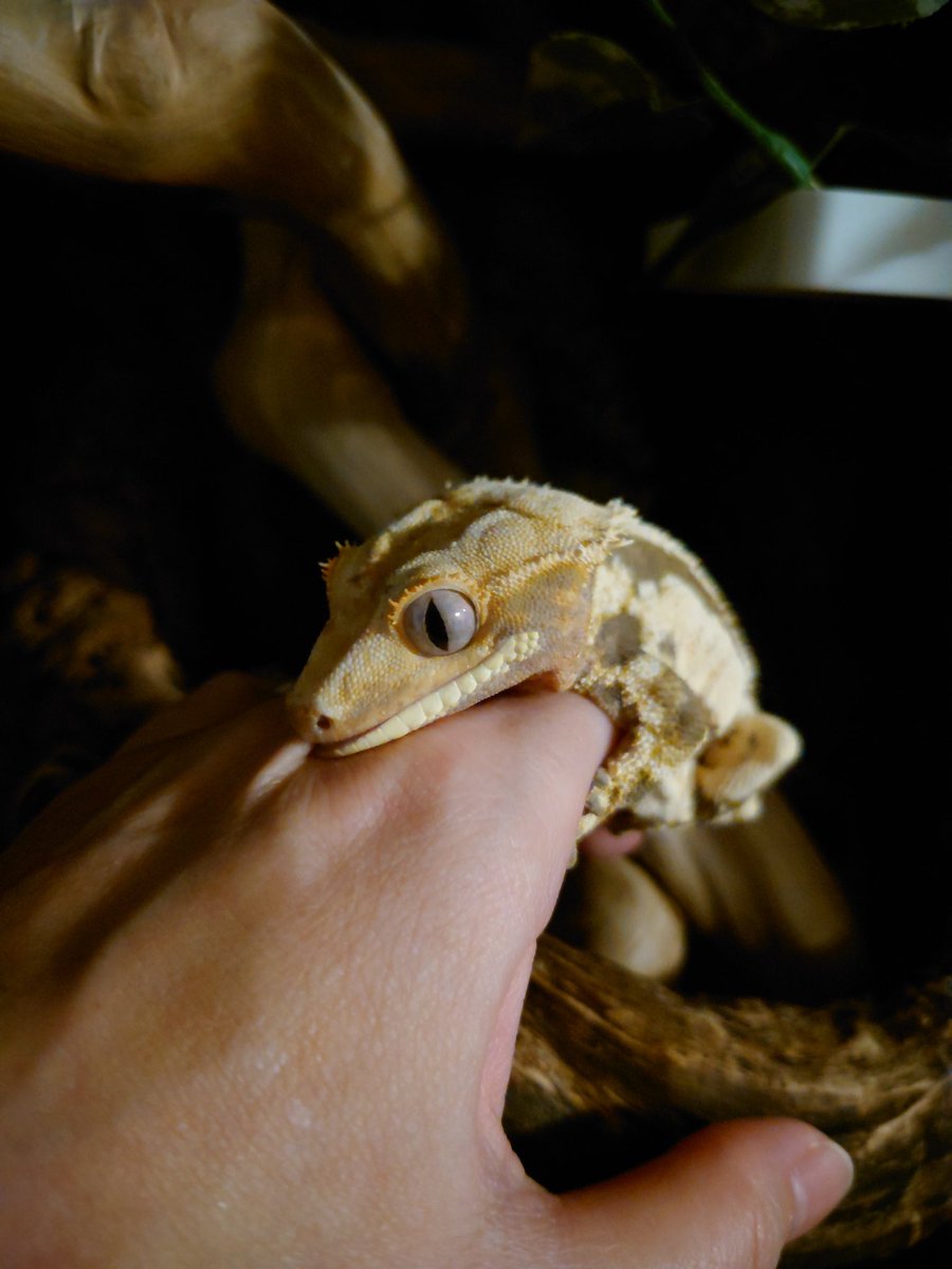 本気過ぎて目が怖いって…(^^;)