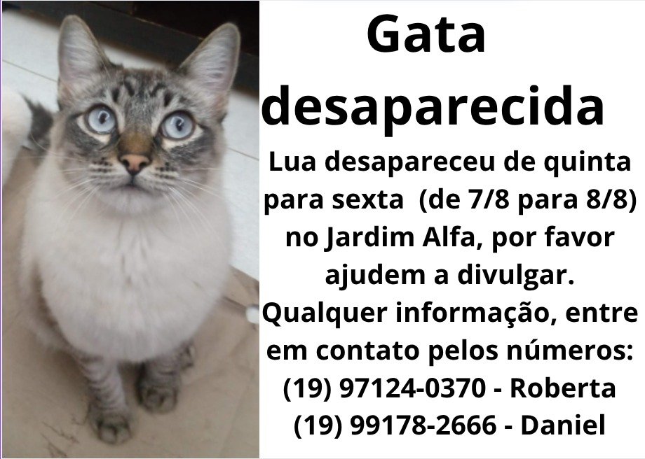 dscumpa's tweet photo. Em Santa Barbara dOeste https://t.co/l7njW6dacX