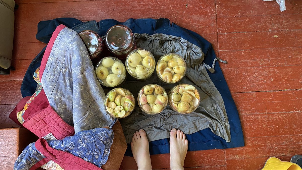 We hebben vandaag acht drieliter potten compôte ingemaakt. Zes daarvan van onze eigen #Russische appels. Vandewinter hoeven we dus geen appelsap te kopen in de winkel.