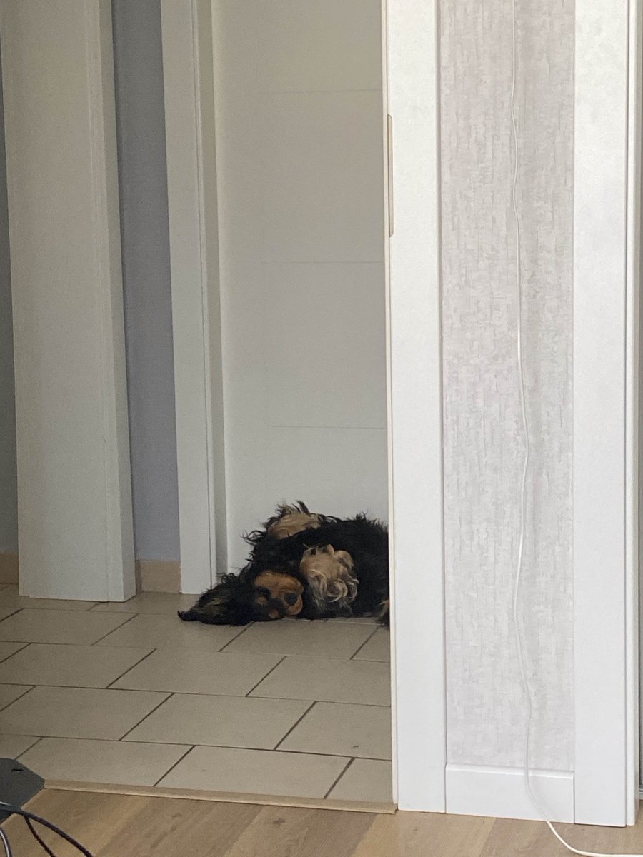 GG <a href="/Esprit_Shonen/">Esprit Shōnen</a> 
WP <a href="/HildebrandtLol/">Hildebrandt</a> <a href="/CoachArthur0/">Arthur0</a> scouting diff ! 
5-2 sur les matchs aller (dont une grosse glissade 😅)
Content des gars, go go go en LFL !✌️