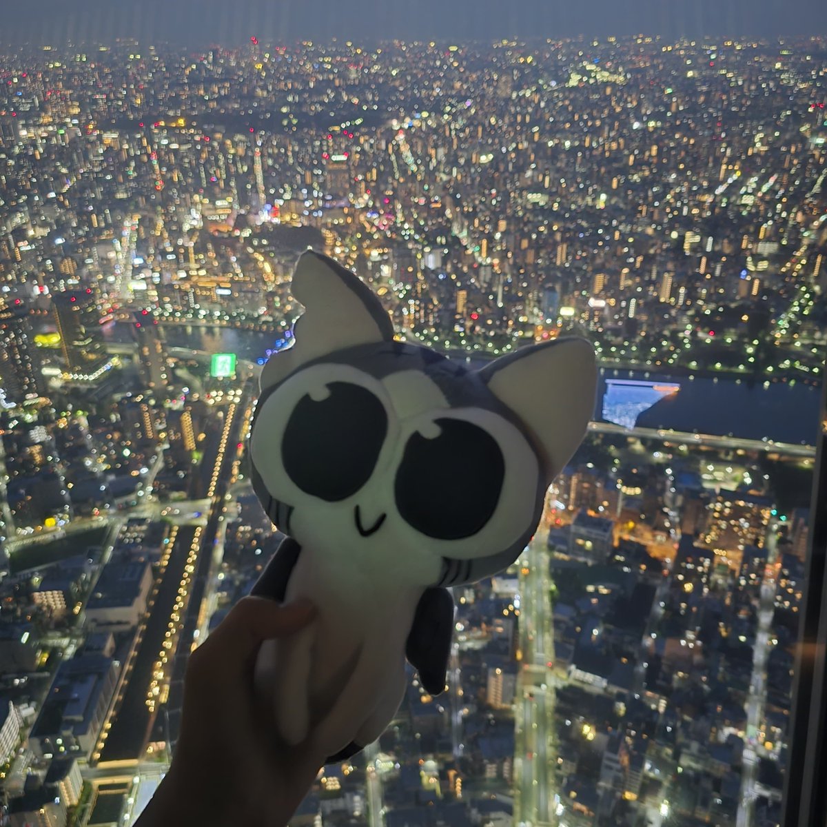 Yarn Guardians | OUT NOW 😻 tweet media