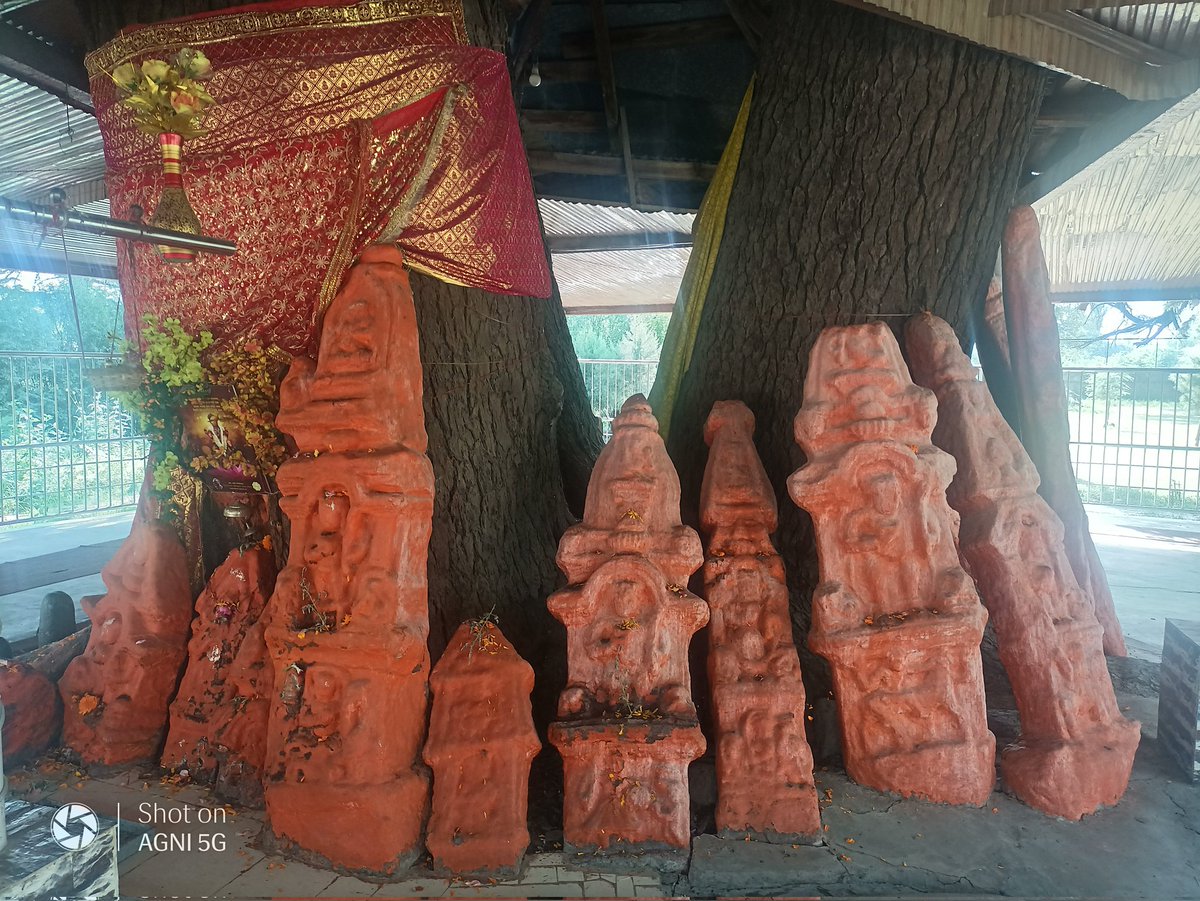 GaashTaarukh 𑆓𑆳𑆯 𑆠𑆳𑆫𑆶𑆒🌟🇮🇳 (@gash_tarukh) on Twitter photo Back from Mata Baladevi Temple Balhama, my isht devi. Also visited the ancient temple at Ladhoo and Shri Jeevan Sahib Temple at Ladhoo village in pulwama district Kashmir Bharat 🕉️ Pics follow <a href="/KnowYourTemples/">Know Your Temples "जानें अपने मंदिर"</a> <a href="/panditaAPMCC63/">Ravinder Pandita(Save Sharda)</a> <a href="/BattaKashmiri/">Kashmiri Hindu</a> <a href="/MonaADhar/">decodingmyroots.com - नित्यकर्म सर्वोपरि</a> <a href="/Martand_JK/">Martand Singh</a> <a href="/vikramsampath/">Dr. Vikram Sampath, FRHistS</a> Back from Mata Baladevi Temple Balhama, my isht devi. Also visited the ancient temple at Ladhoo and Shri Jeevan Sahib Temple at Ladhoo village in pulwama district Kashmir Bharat 🕉️ Pics follow <a href="/KnowYourTemples/">Know Your Temples "जानें अपने मंदिर"</a> <a href="/panditaAPMCC63/">Ravinder Pandita(Save Sharda)</a> <a href="/BattaKashmiri/">Kashmiri Hindu</a> <a href="/MonaADhar/">decodingmyroots.com - नित्यकर्म सर्वोपरि</a> <a href="/Martand_JK/">Martand Singh</a> <a href="/vikramsampath/">Dr. Vikram Sampath, FRHistS</a>