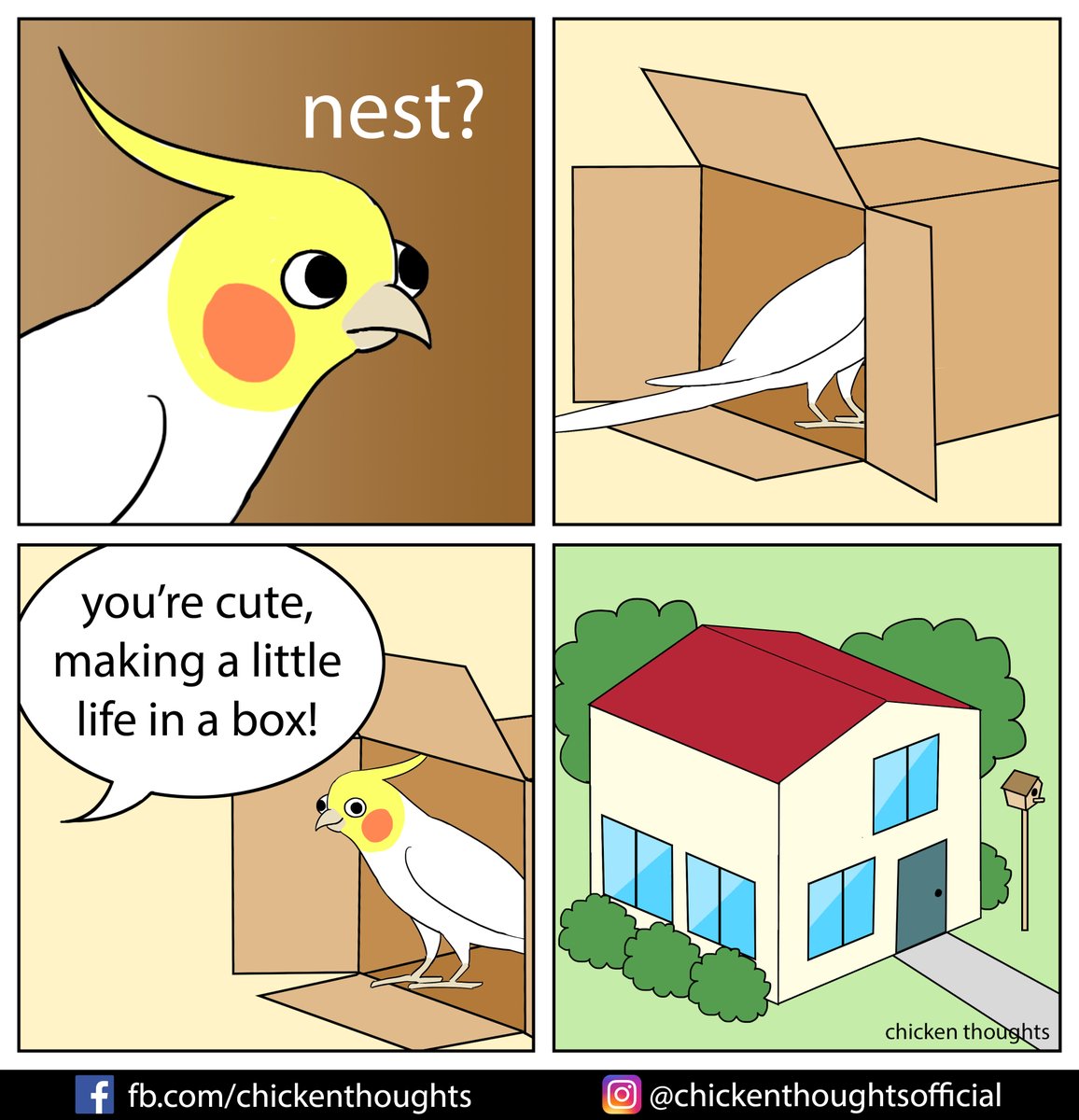 ChickyThoughts's tweet image. Nesting instinct