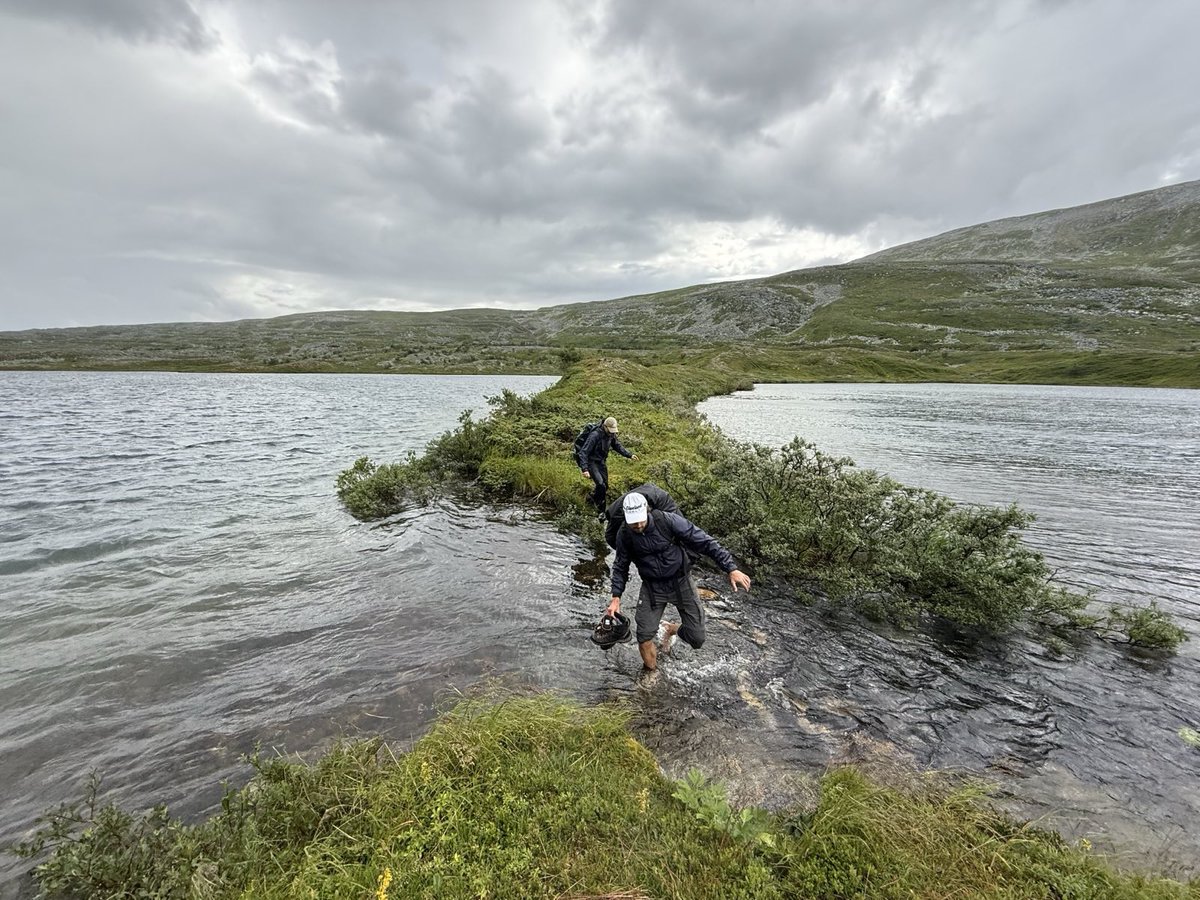 gusapps's tweet image. Take breaks