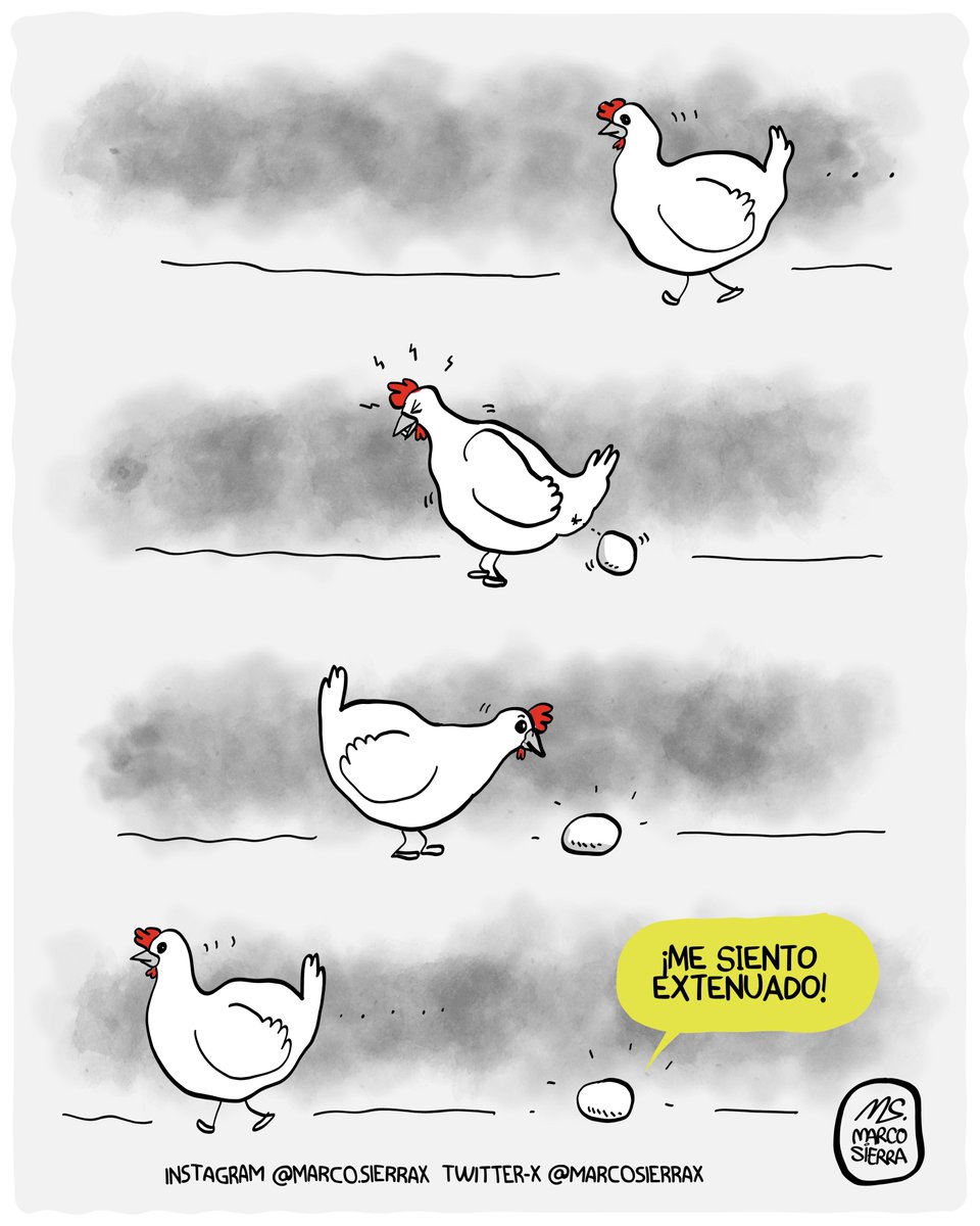 Primeras palabras de un huevo(n).

#humor #gallinas #NadaMásPorConvivir #andy