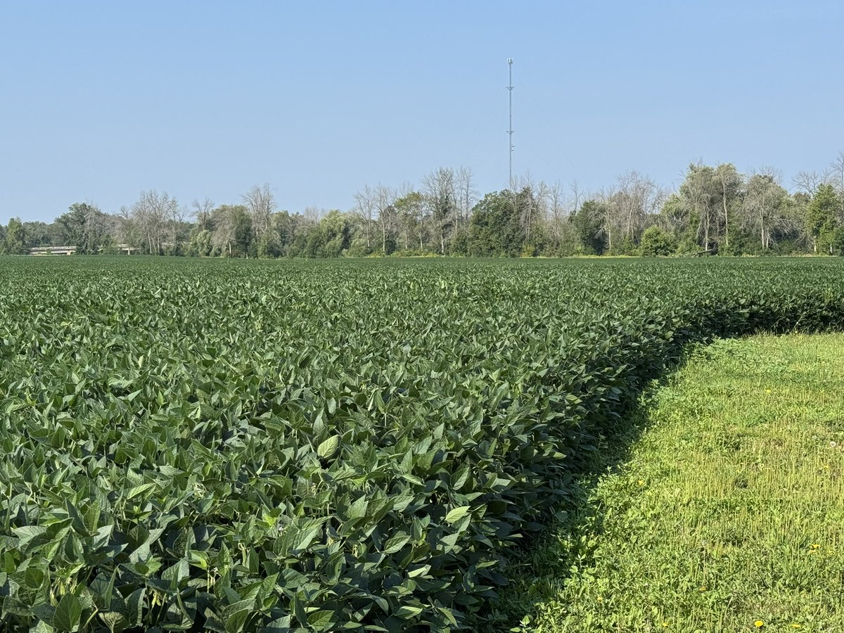 Ken Schaus 🇨🇦 tweet media