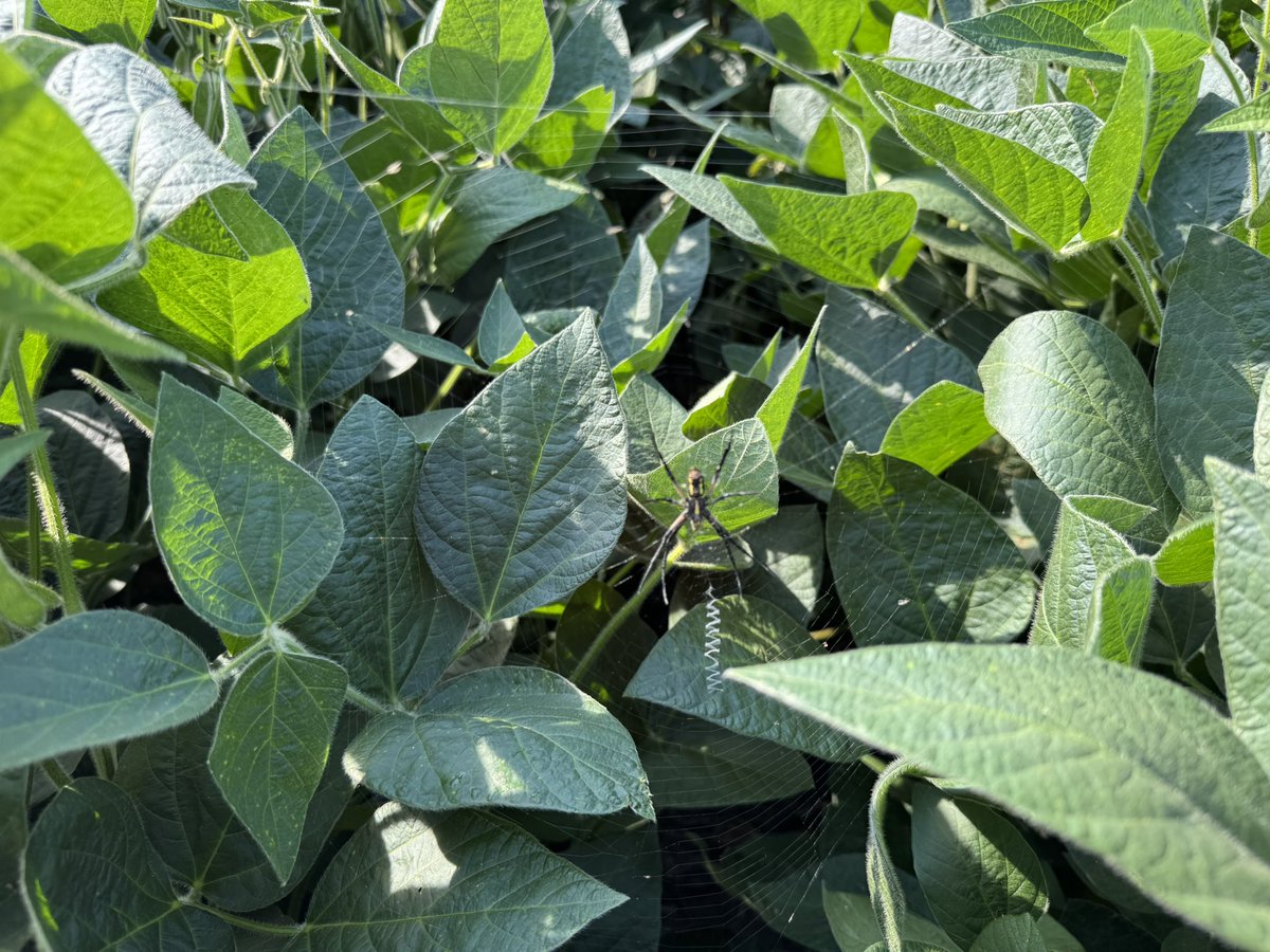 Ken Schaus 🇨🇦 tweet media