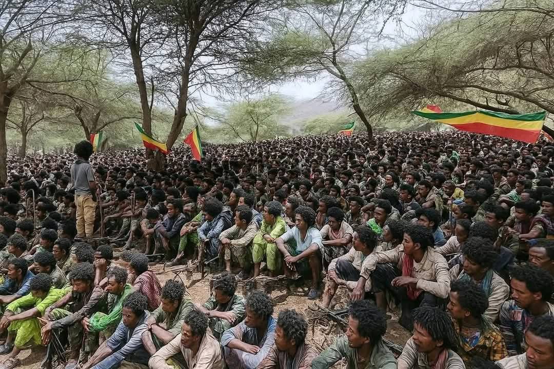 #የዐማራ_ሕዝብ_ፋኖ ተገዶ በገባበት የኅልውና ጦርነት እንደሕዝብ በዕጣ ፈንታው ላይ የሚወስንበት ወሳኝ የታሪክ መታጠፊያ ምዕራፍ ላይ ይገኛል! ዐማራ እንደሕዝብ የገጠመው የኅልውና አደጋ ጊዜ የማይሰጥ እንደሆነ ተረድቶታል!

#WarOnAmhara
#AmharaGenocide