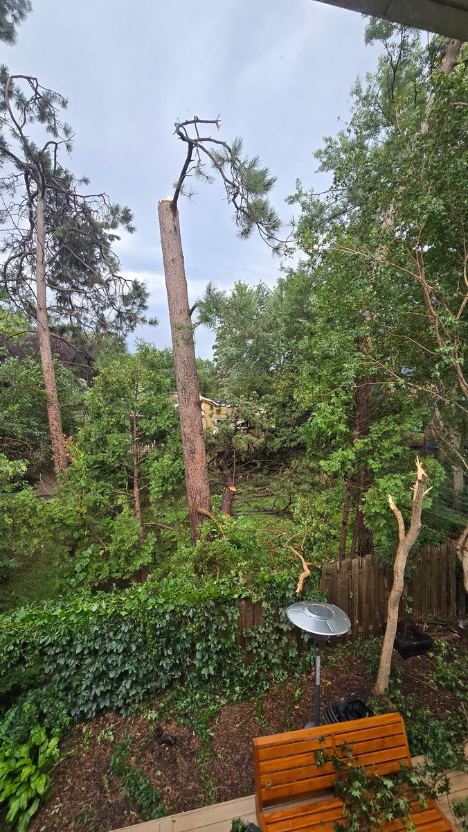 Wow, last night's storms were crazy. The 90+ MPH winds caused widespread damage. My neighbor's house took the brunt of a 70' pine tree. Good luck to everyone starting cleanup in Eastern, NE this weekend.
