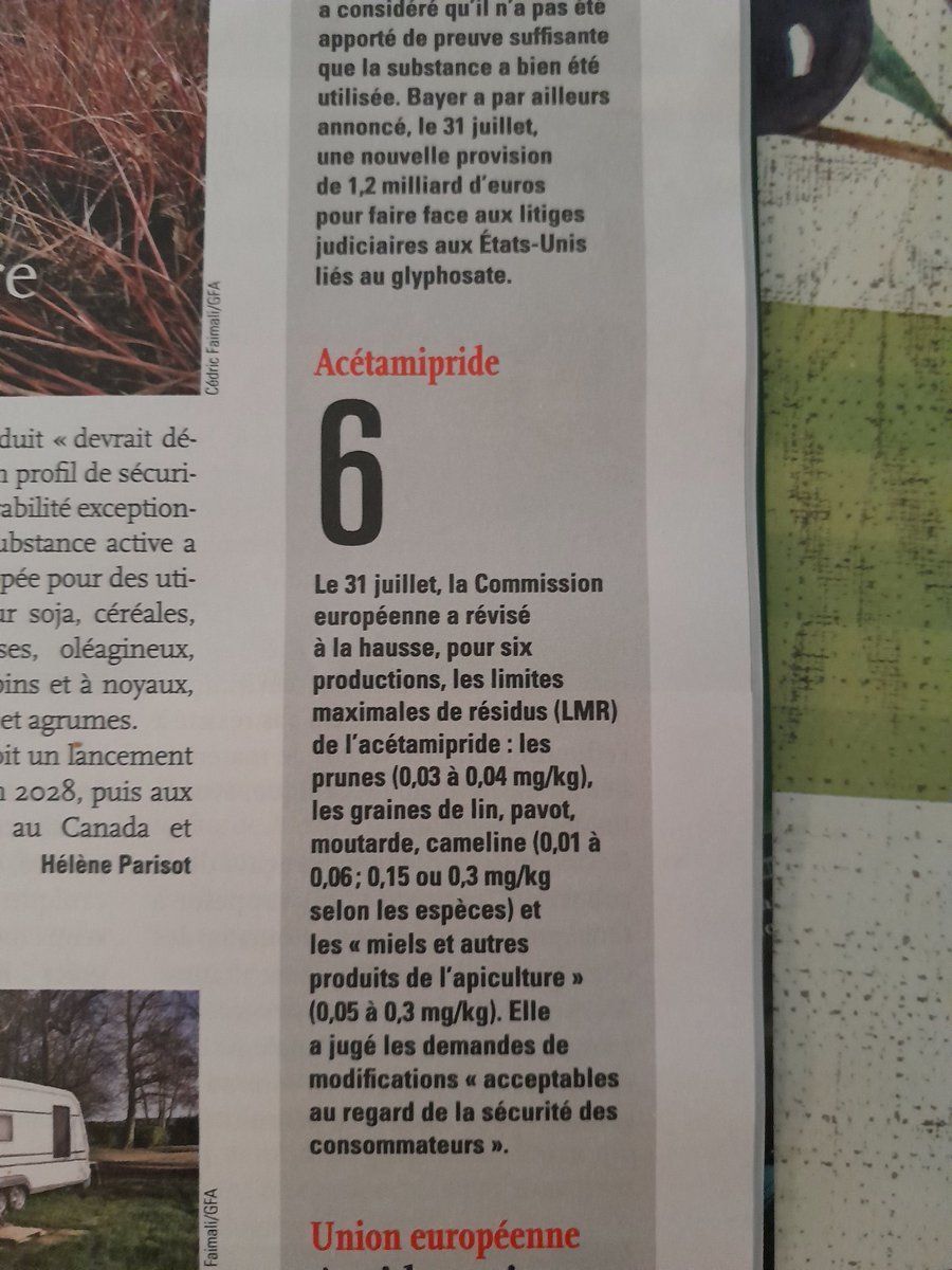 Edgard_Aller Riviere tweet media