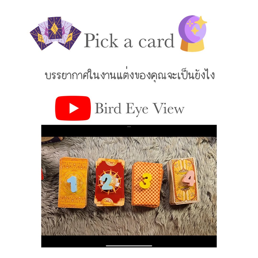 birdeyeview tweet media